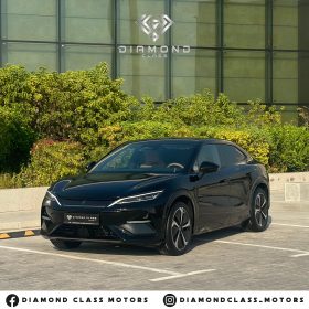 New 2024  BYD Song L